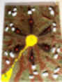wpe5.jpg (2769 bytes)